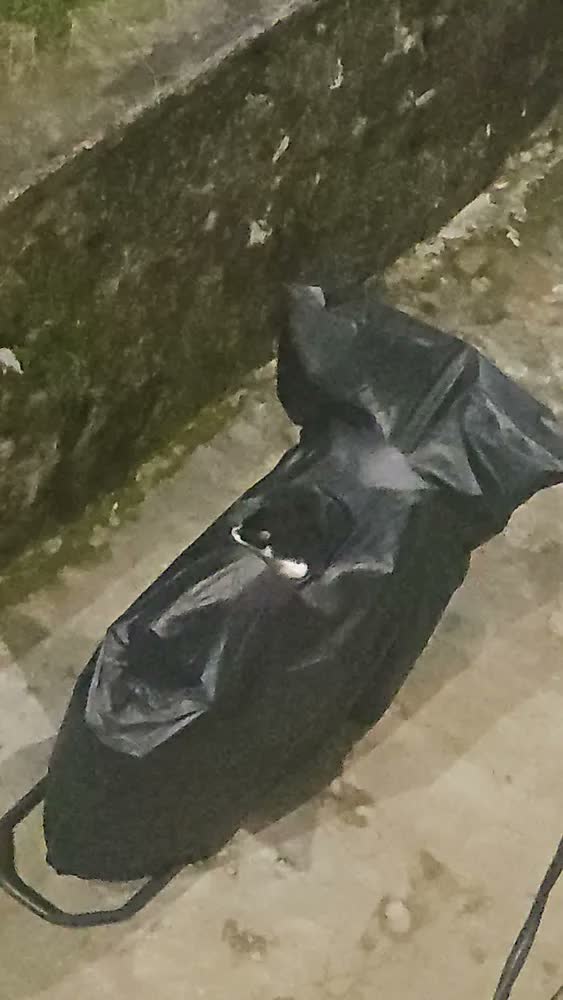 foto de Capa Para Moto Forrada Impermeável Térmica Sol Chuva Protege