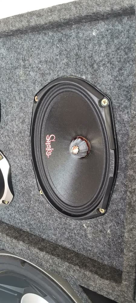 foto de Alto Falante Woofer Snake Pro 6x9 Esv 280w Rms 4 Ohms