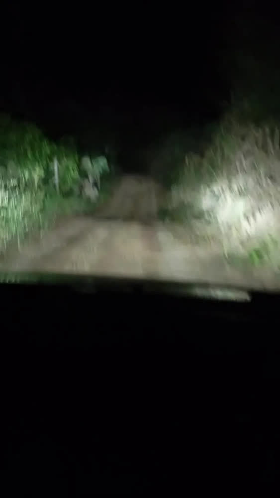 foto de Par Lâmpada Led H4 H7 H1 H11 Farol Carro Canbus Premium 200w
