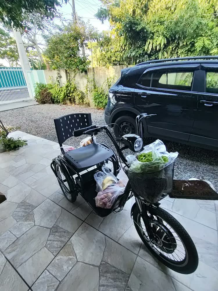foto de Triciclo Elétrico Duos Confortável Motor 800w