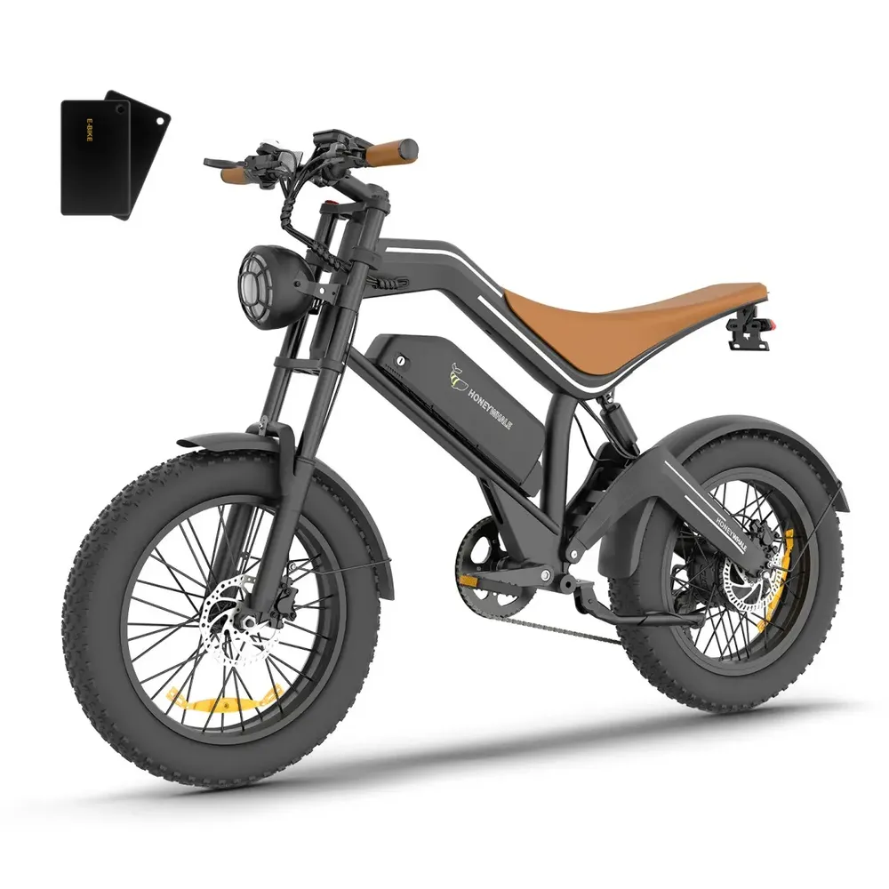 Honeywhale K6 Pro Bicicleta Elétrica Adulto, 850w Bike Motor-max, 62km Autonomia, 55km/h Velocidade, Bateria Removível De 48v/15,6ah, Moto EBike De Montanha De 7 Velocidades, Honey Whale Preto