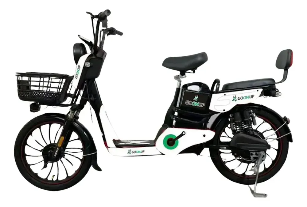 Bicicleta Elétrica Goon.up® 1000w Litio 20ah Autonomia 60km Preto