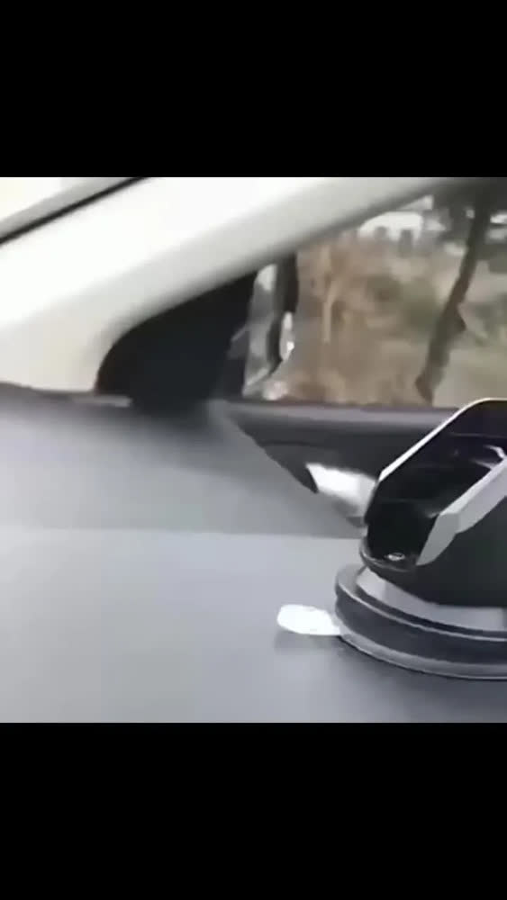 foto de Suporte Veicular Carro Tablet iPad Tela 7 A 11 P' Ventosa Gps Apoio Veículo Localização