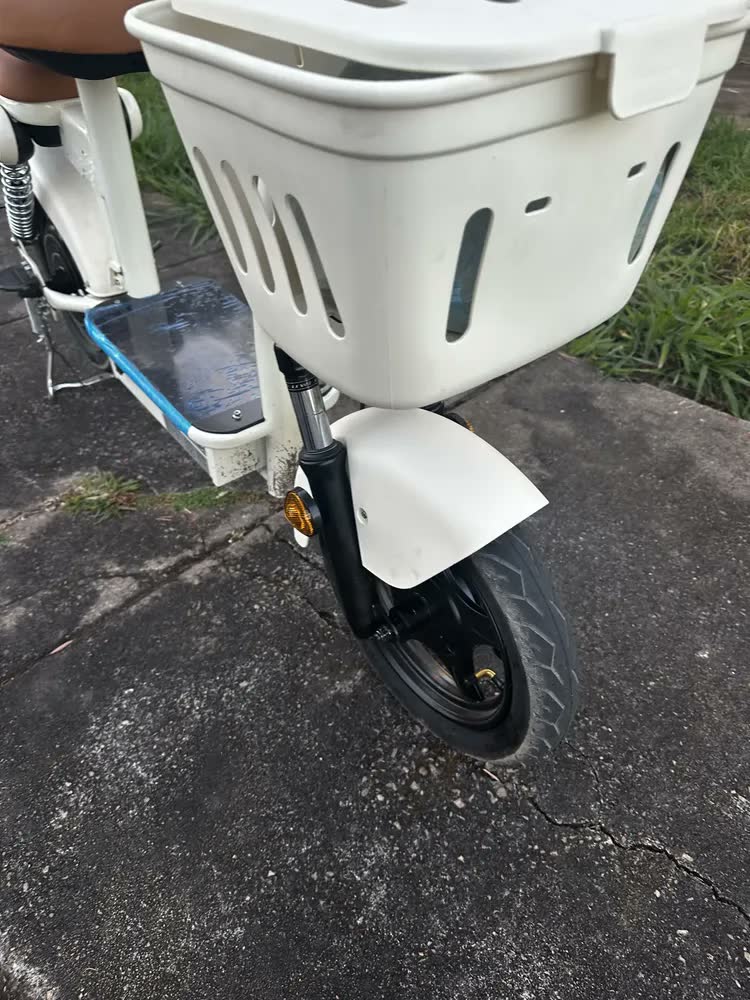 foto de Bicicleta elétrica adulto motor 1200W, autonomia 90-100km bateria lítio, NFC duplo, freios a tambor e amortecedores de mola dianteiro/traseiro, retrovisor, banco traseiro, excelente para subir ladeira